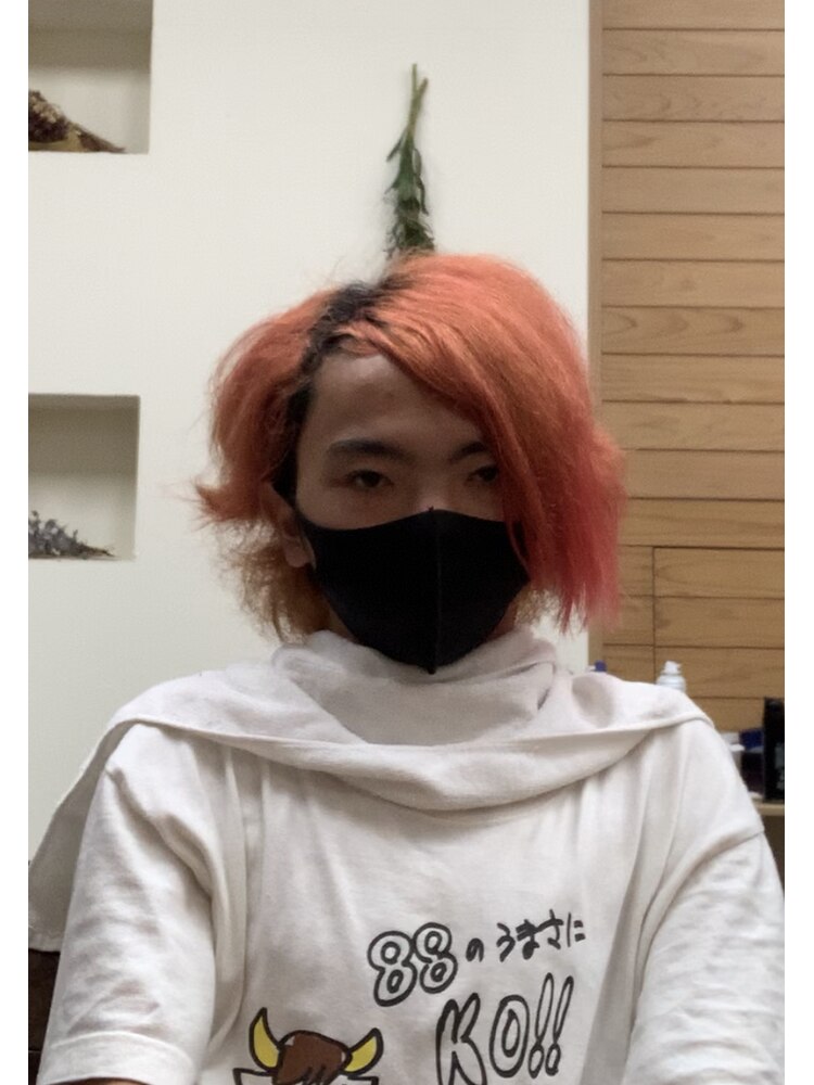 朝から脱走→捕獲萌え」SNSでバズったスター猫満載！バズにゃん 8連載画像1 10- レタスクラブ