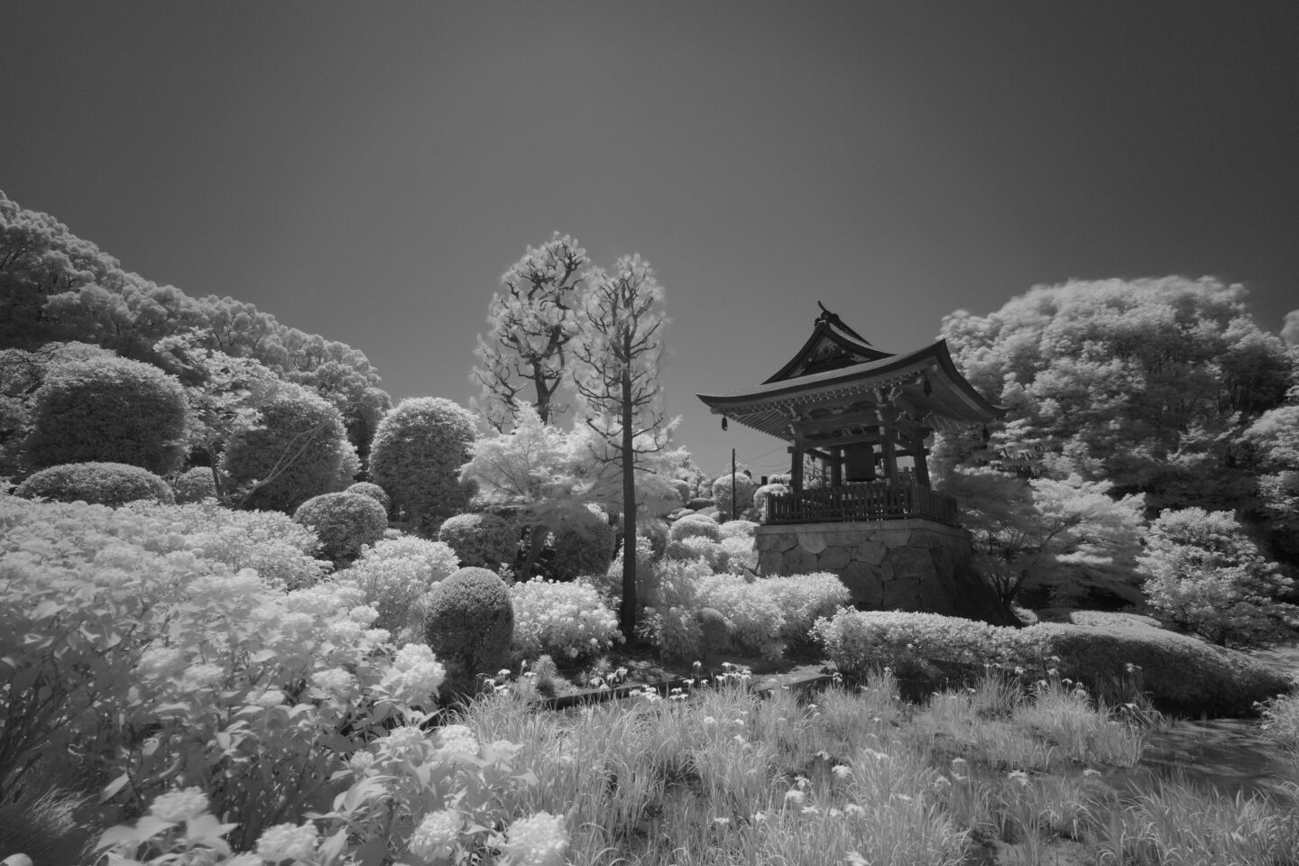 ASCII.jp：人や動物をセンサーが感知し自動撮影! 赤外線無人撮影カメラ・ミニ