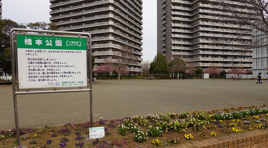 相模線 sagami lineルート：スケジュール、停車地、地図-橋本