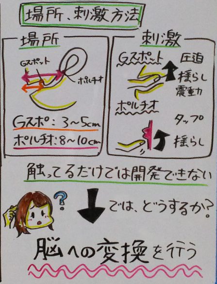 性感帯が開発されるのはなぜ？ それ、脳の勘違いかも｜脳科学と性⑥