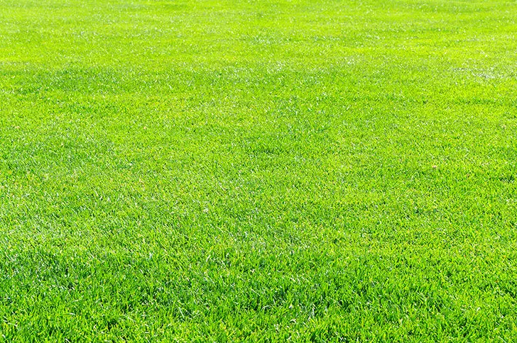 フリー 無料 写真素材 ダウンロード blue-green – 全部フリー 無料 の写真素材ダウンロード 「blue-green」会員登録不要、商用サイト利用可能、クレジット表記・リンク不要、加工OK