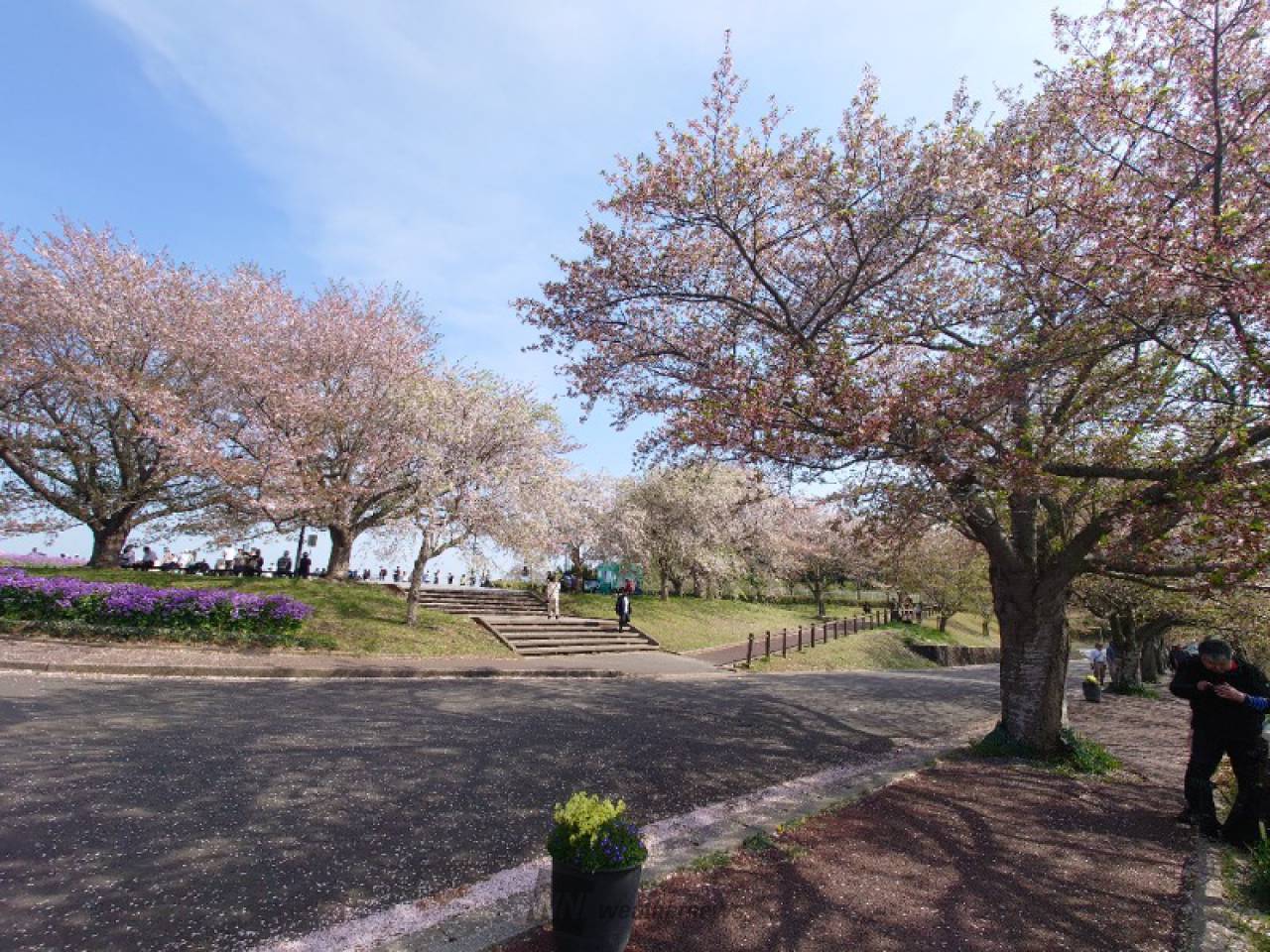 成田市さくらの山・空の駅さくら館 |FEEL成田 成田市観光協会公式サイト