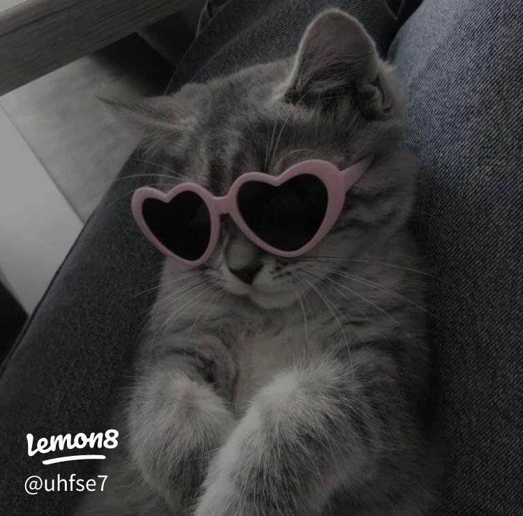 儚い雰囲気 壁紙TikTok