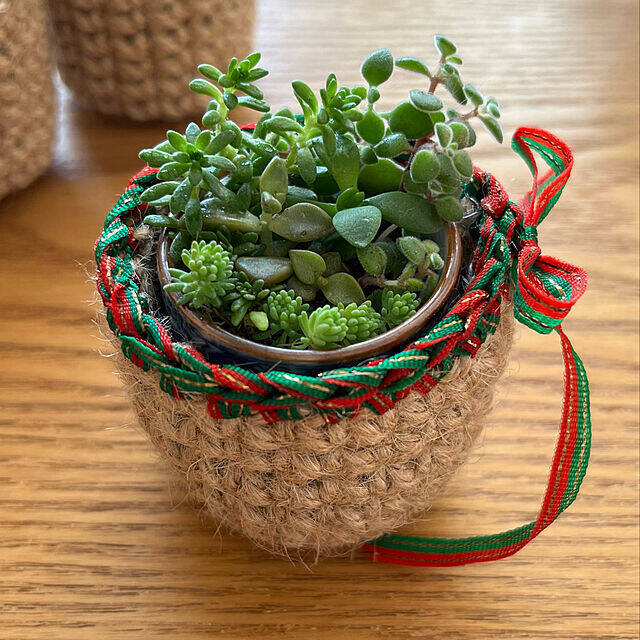 311、リメイク鉢 3号底皿付き 山の果実 リメイク缶 植木鉢 多肉植物