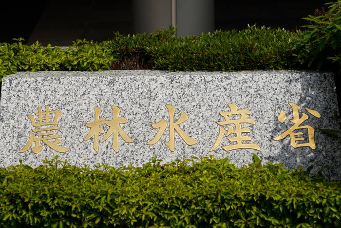 豪華なフォントで「5000兆円欲しい！・森鴎外」ロゴの元ネタ・初出は？文脈をつなぐ