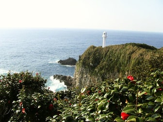 2ページ目)【徳島・高知ほかご当地コスメ】 美しい色に染まるタデアイ白髪染め… 地域の雇用創出につながる逸品も