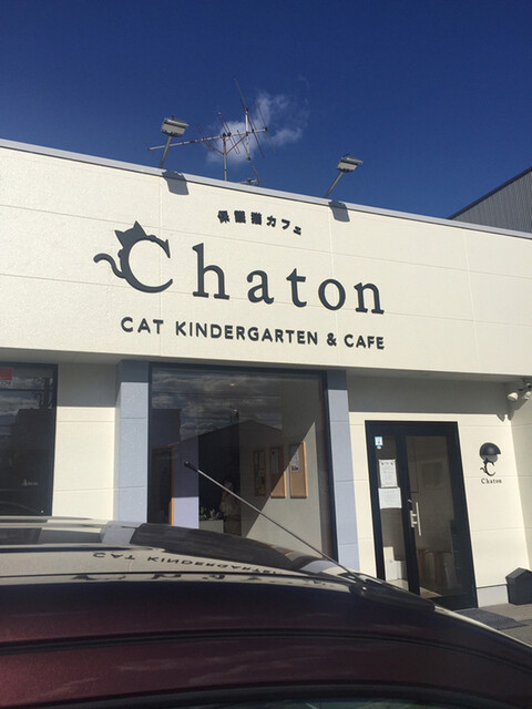 送料無料】サイクルキャップ 『シャトン キャップ 』３カラーバリエーション Chaton