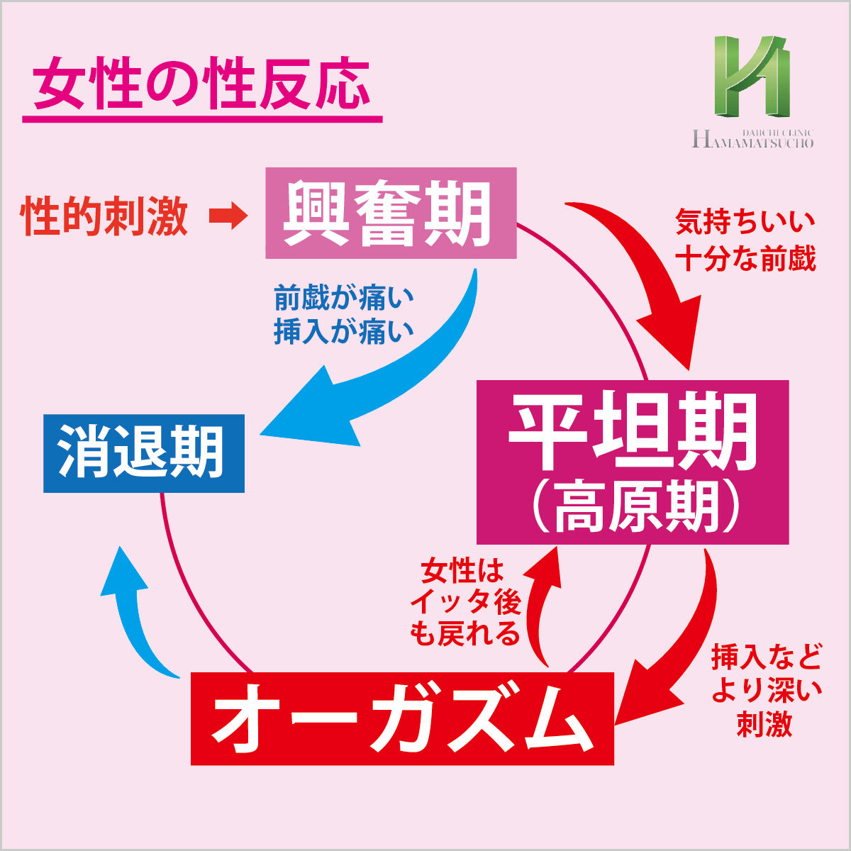 女性の性感帯はどこ？ 快感を得られる部位とセックスで刺激する方法を解説【医師監修】｜「マイナビウーマン」