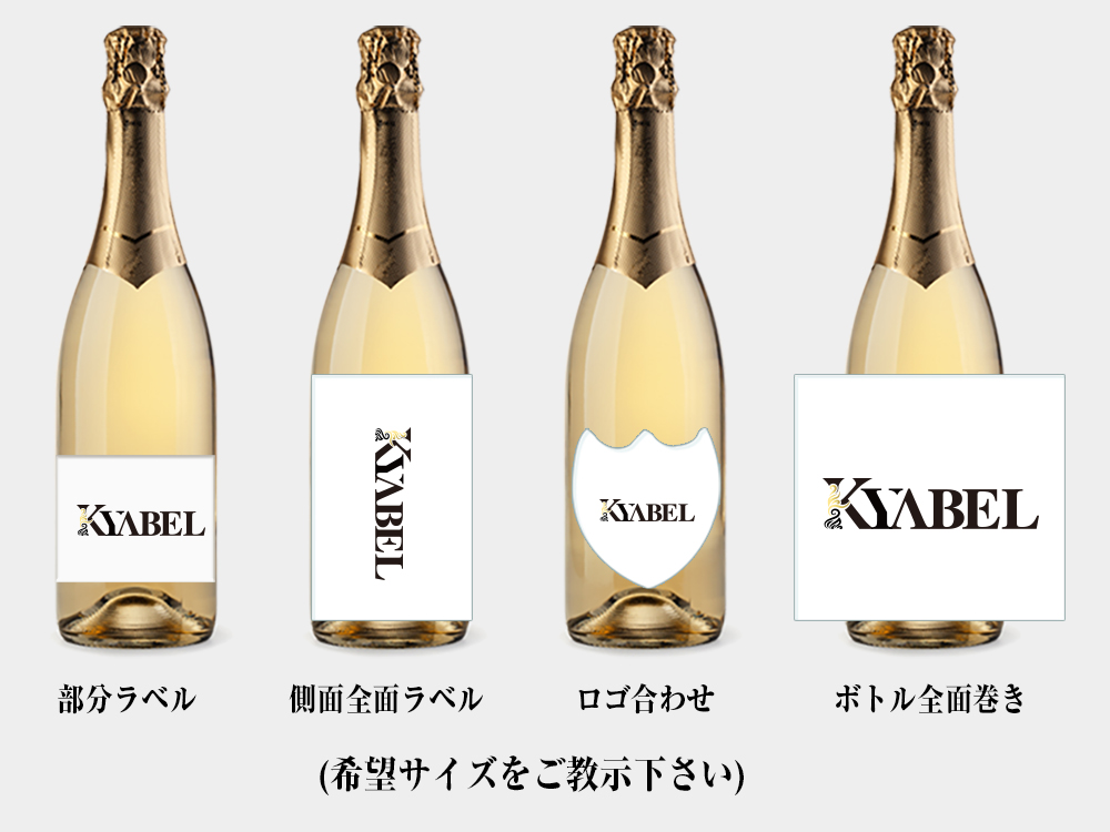 ハンコヤストア ボトル ラベル シール 15枚入り 詰替えボトル用 ステッカー ランドリー インデックス アルコール シャンプー ハンドソープ わいいおしゃれ サプライ : ハンコヤストア - 通販 - Yahoo!ショッピング