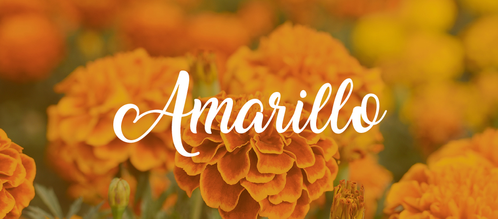 筆記体フリーフォントまとめ！オシャレな英語の無料デザインフォント集ferretメディア