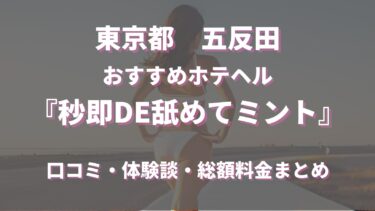 リクルート情報｜五反田のぽっちゃりデリヘル『BBW五反田店』