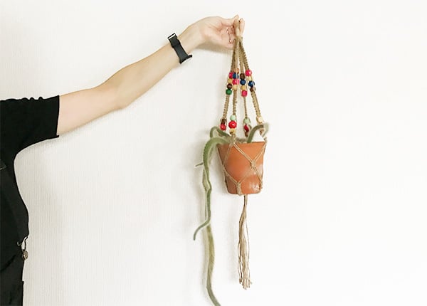 100均で簡単15分で出来るプラントハンガーの作り方SNG LABORATORY +