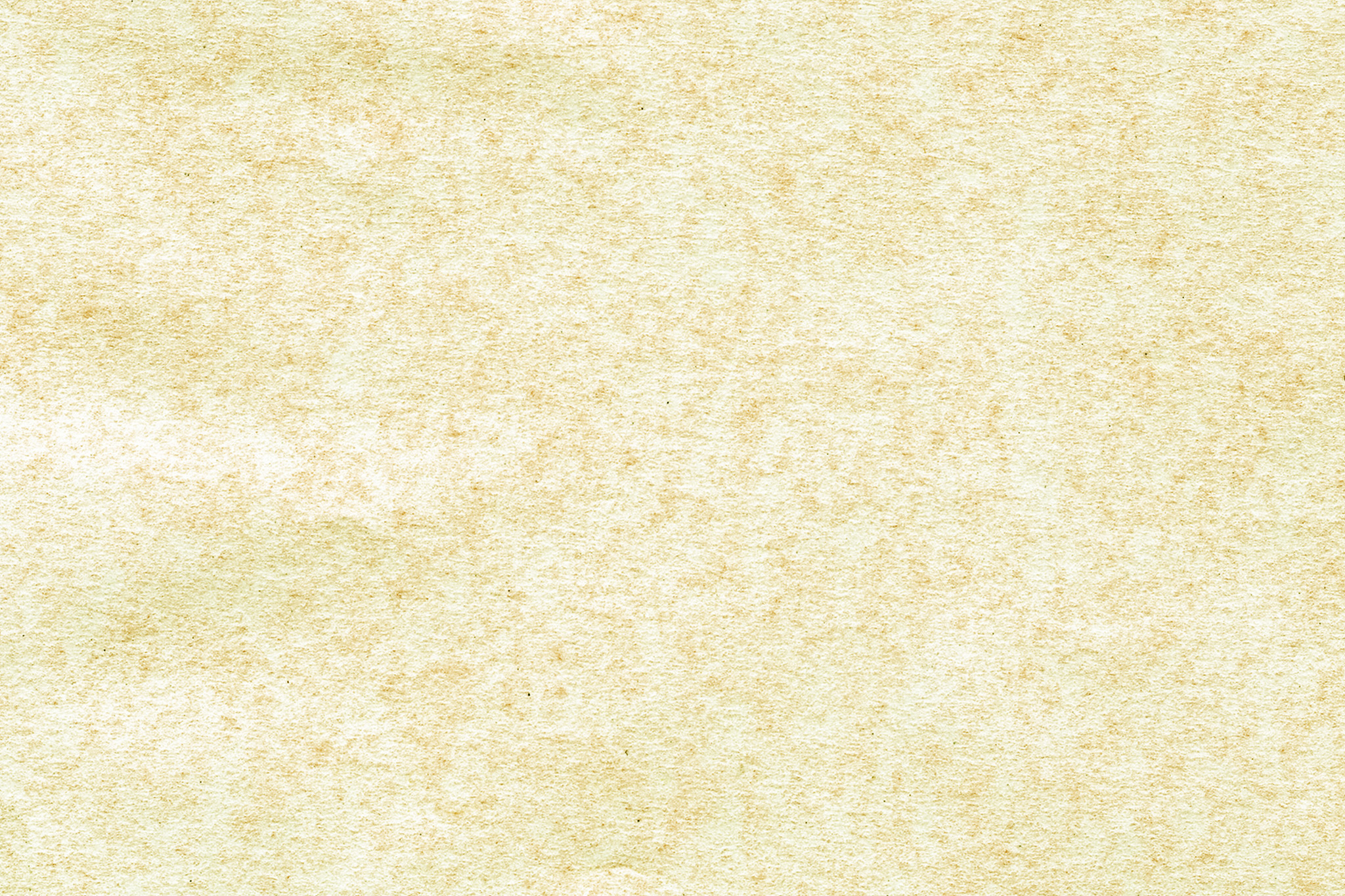 和紙 印刷 ざらざら 和紙の印刷工房