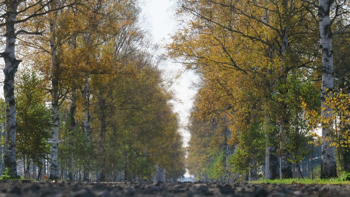 帯広市／紅葉とともに朝ドラを振り返る – 十勝シーニックバイウェイ