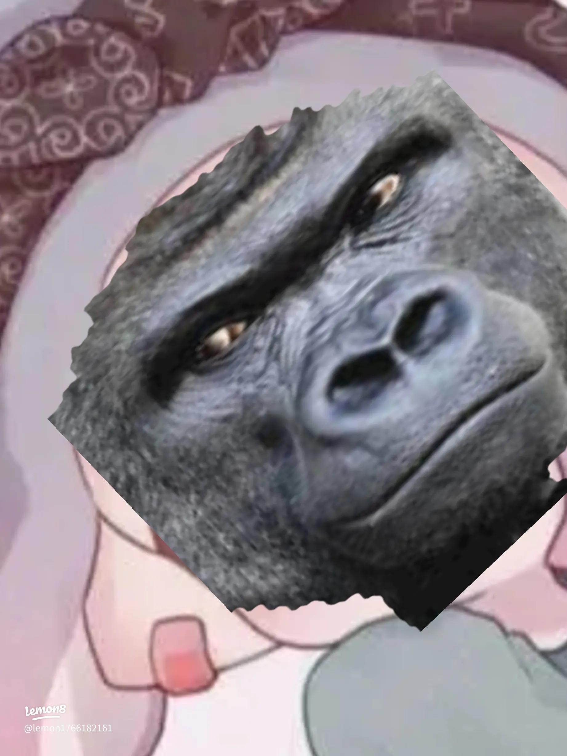 グルラアイコン黒場所おしゃれ画像TikTok