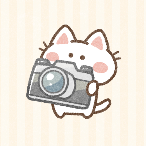 カメラのイラスト商用可・フリーイラスト素材ソコスト