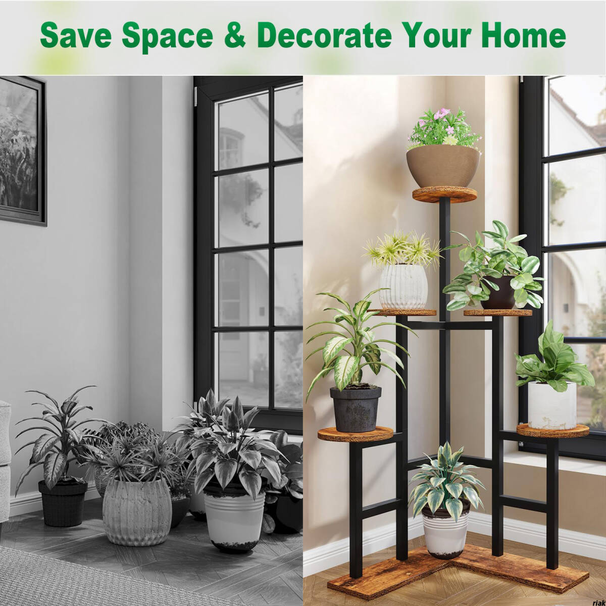 しなやかな心で輝きの人生を