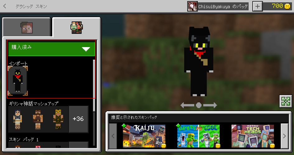Vtuber様や配信活動者様のマイクラスキンを作成致します!!SKIMA スキマ