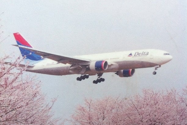 成田・桜山公園：航空機(t～マロンさん) | αcafe αの写真投稿サイト ｜