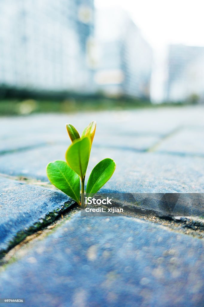 水色」を英語で説明するには？ニュアンスの違いを例文で紹介 - JSED.NET - 教育にITを