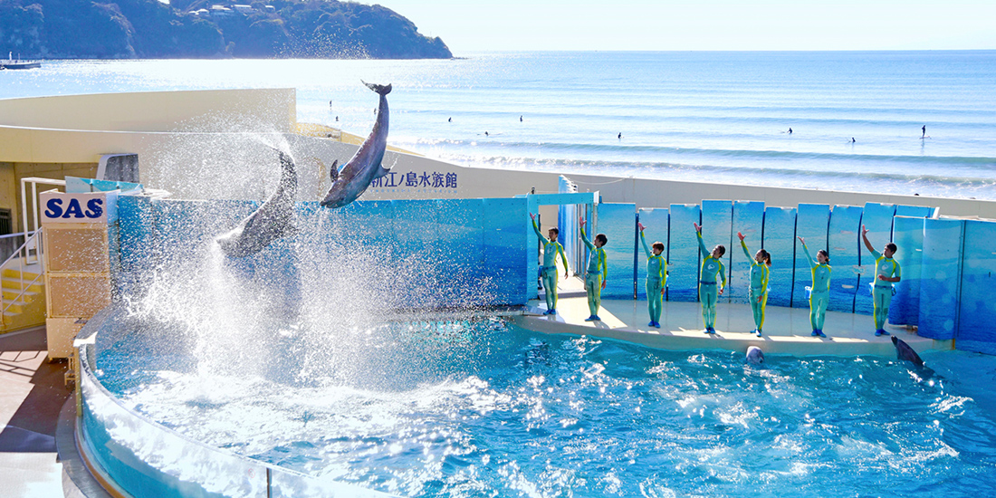 神戸ポートタワーの復活とサプライズ花火