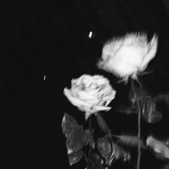 インスタのアイコンにお使いください！fypインスタアイコン画像配布韓国女の子おすすめTikTok