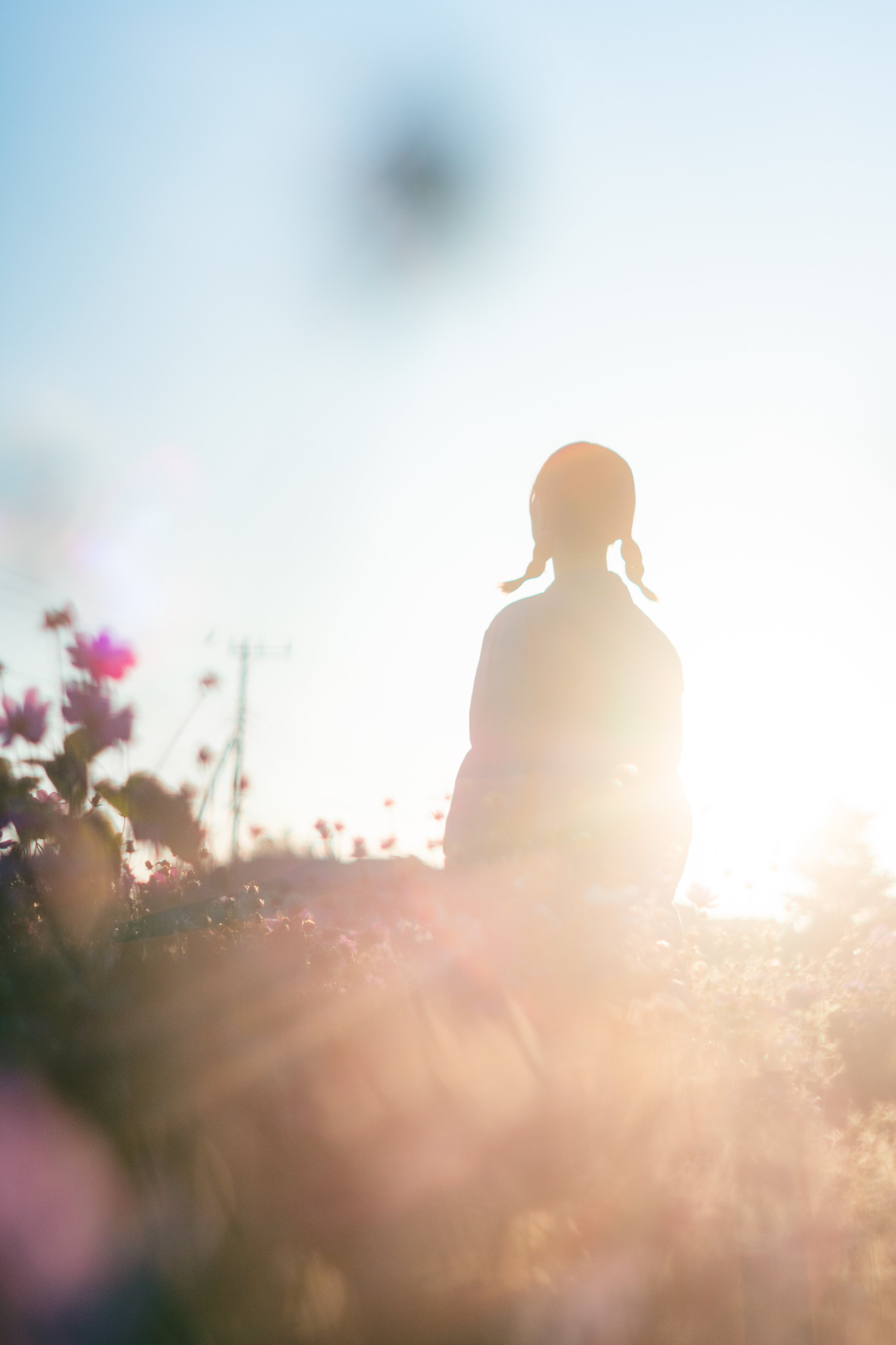 無料 商用可 太陽光のようなフレアが簡単に！アナモフィックレンズフレアのオーバーレイ動画素材17種 Premiere AE FinalCut対応WebDesignFacts