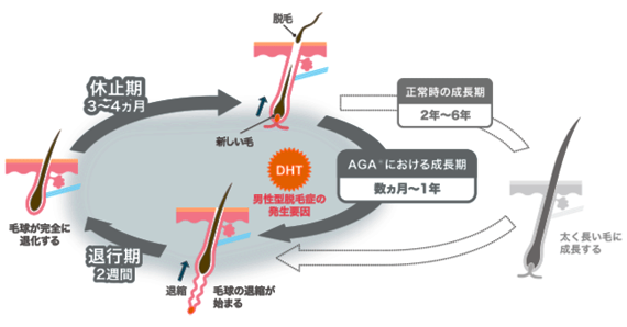 千歳烏山にある美容院、HAIR AXCIS（ヘアーアクシス）にいってきました！ |