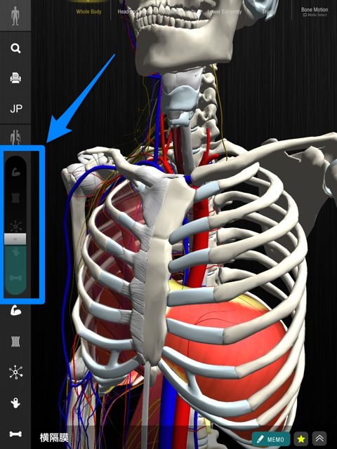 3Dモデル作成アプリ「VRoid」β版提供開始 一般公開は8月3日ねとらぼ