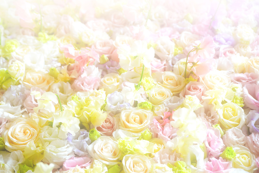 カラフルなのイラスト・フリー素材 背景・壁紙No.542『カラフルフラワー・蝶』