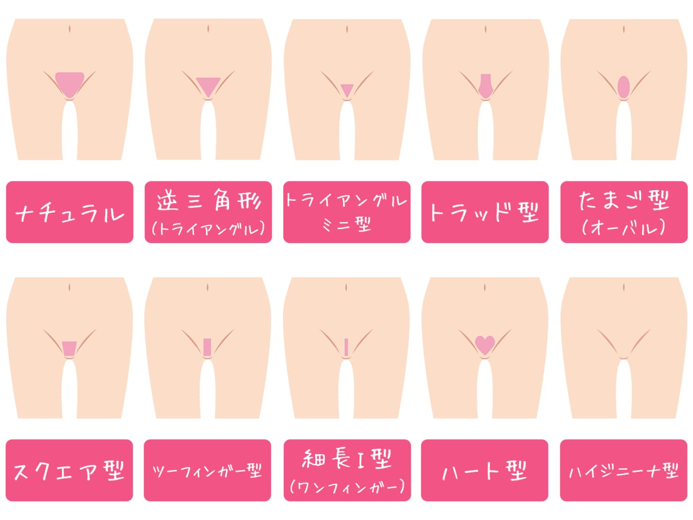 男性がパイパンにする陰毛処理のやり方を紹介 | メンズ脱毛百科事典 リンクスペディア