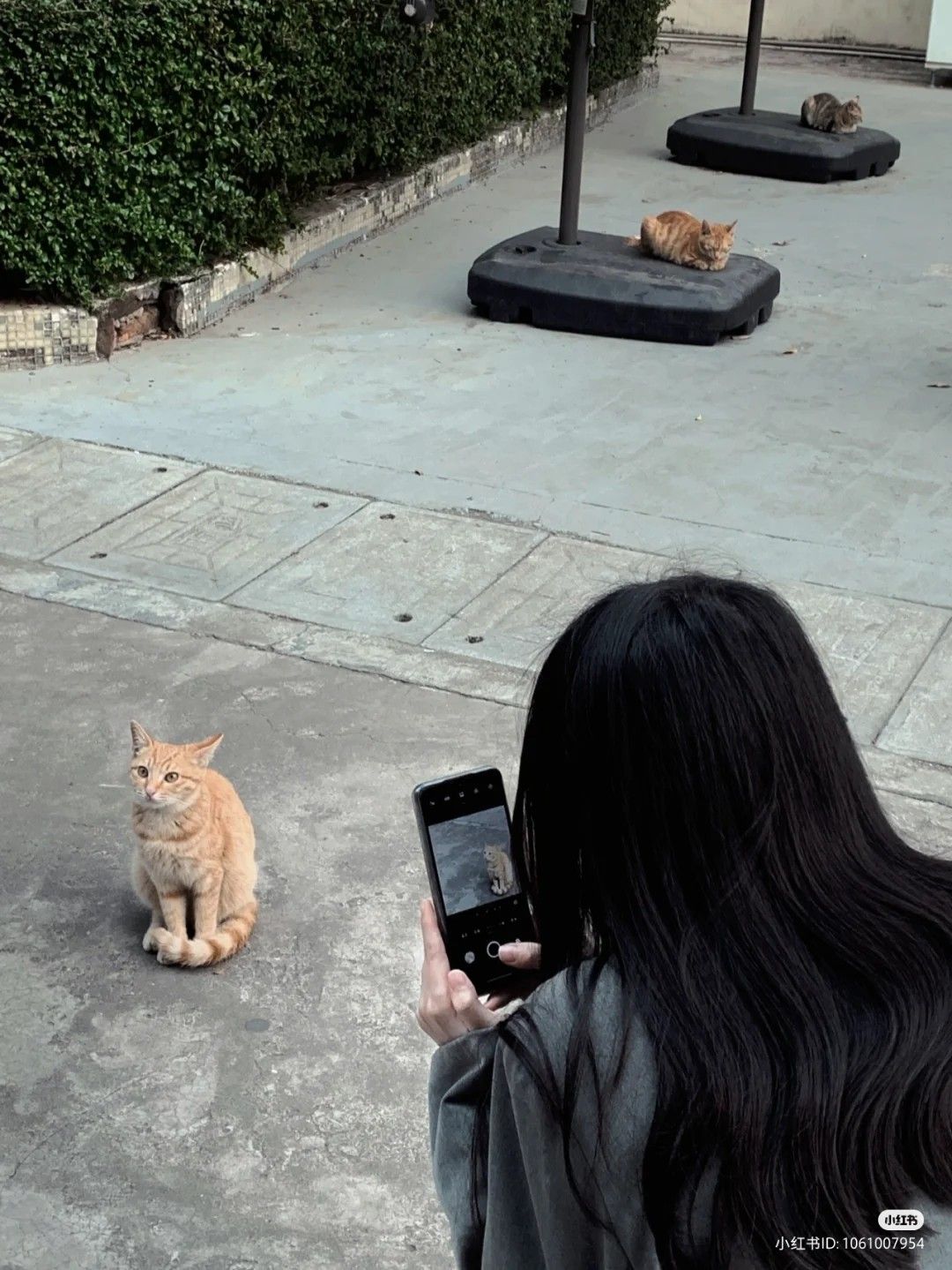 至急です！男ウケいいアイコンってありますか？ 高校生 また、無断- Yahoo!知恵袋