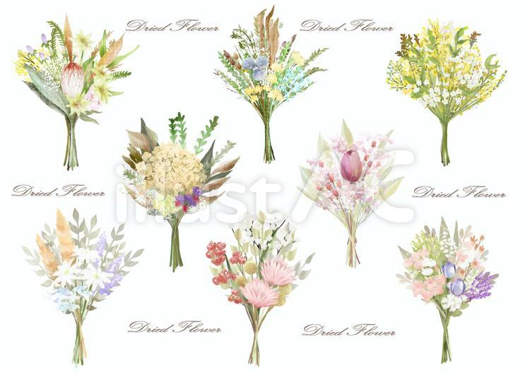 観葉植物の写真素材写真素材なら「写真AC」無料 フリー ダウンロードOK