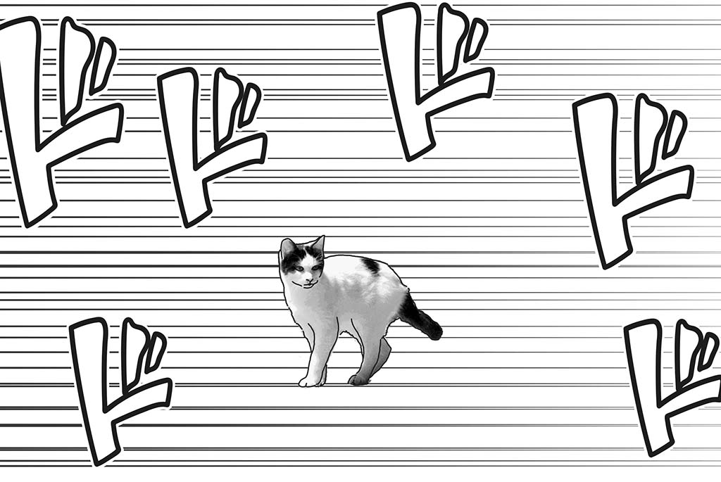 スピード線画像 - CLIP STUDIO ASSETS