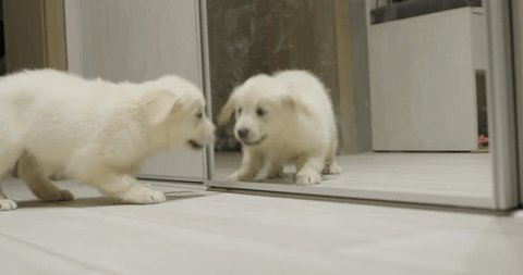 おもしろ動画イラスト無料イラスト・フリー素材なら「イラストAC」