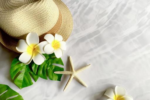 ブログに使いたい！女性が喜ぶおしゃれな商用利用可能なフリー写真素材サイト3選mikami miyuki Mプログレス合同会社