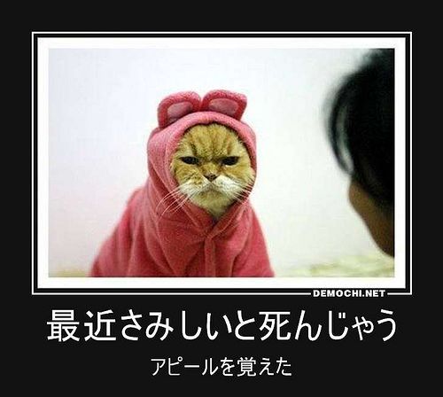 よろしくお願いします京大水泳部練習日記 2022 3~