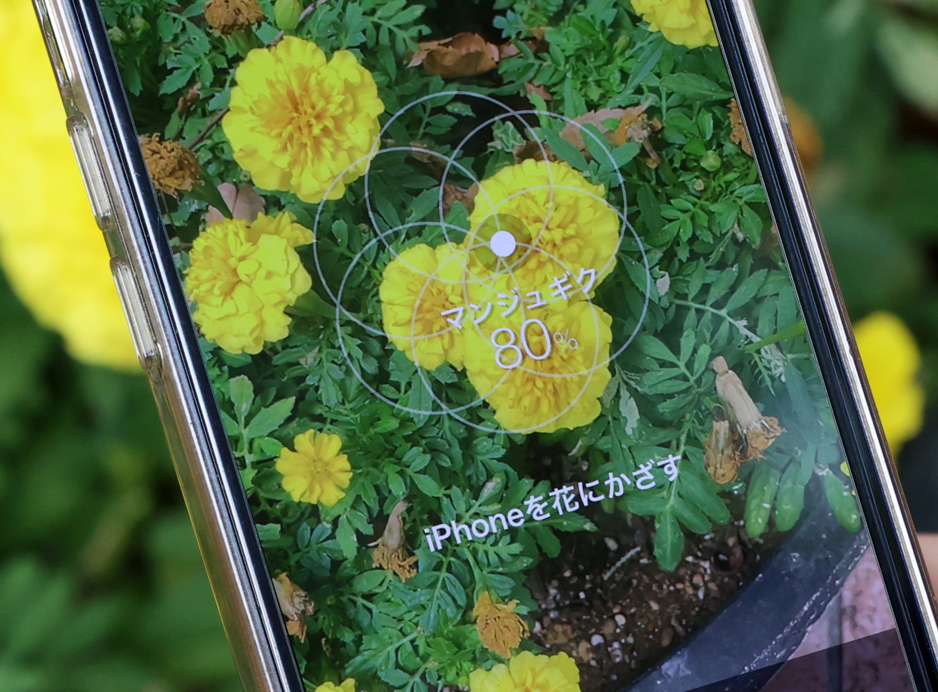 GreenSnap - 植物・花の名前が判る写真共有アプリ - Google Play のアプリ