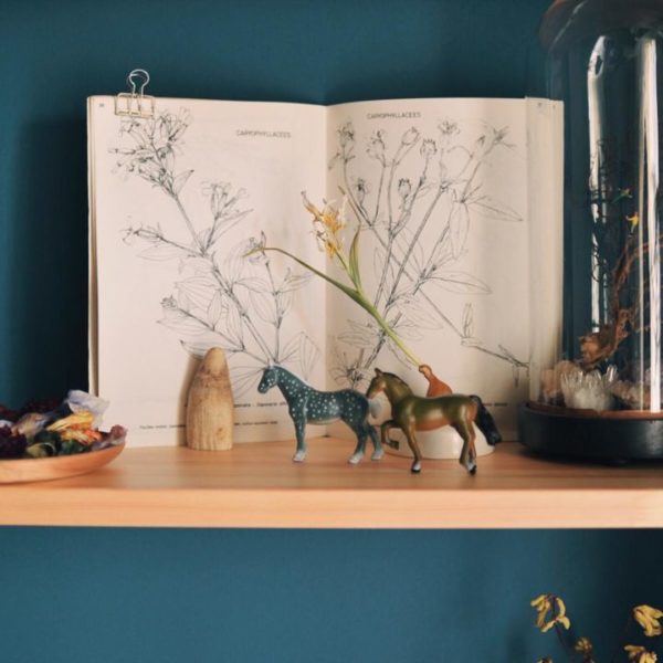 送料無料 新聞額 見開きサイズ 全6色 546x812mm 新聞 広告 飾る 額縁 額装 両面 フレーム 壁掛け : 額縁・アルバム・雑貨の老舗 万丈- 通販 - Yahoo!ショッピング