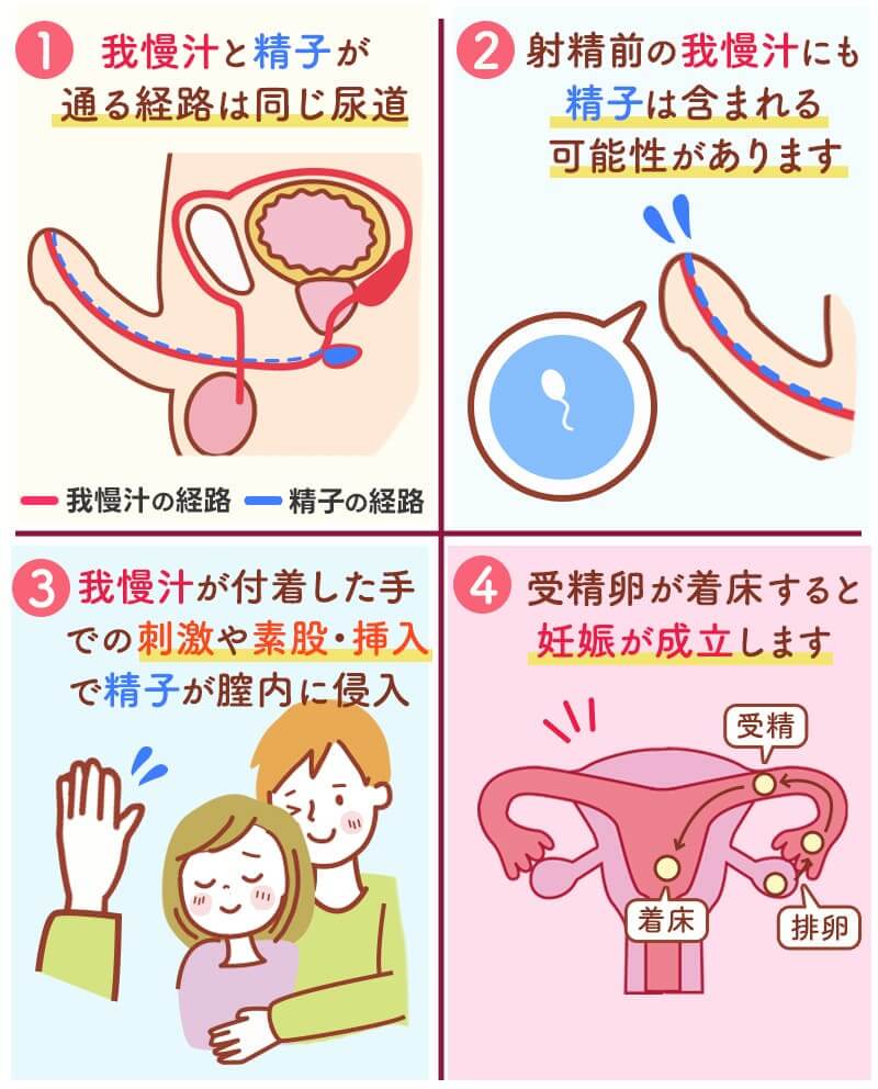 妊娠初期症状は性行為後いつから？【産婦人科専門医監修】