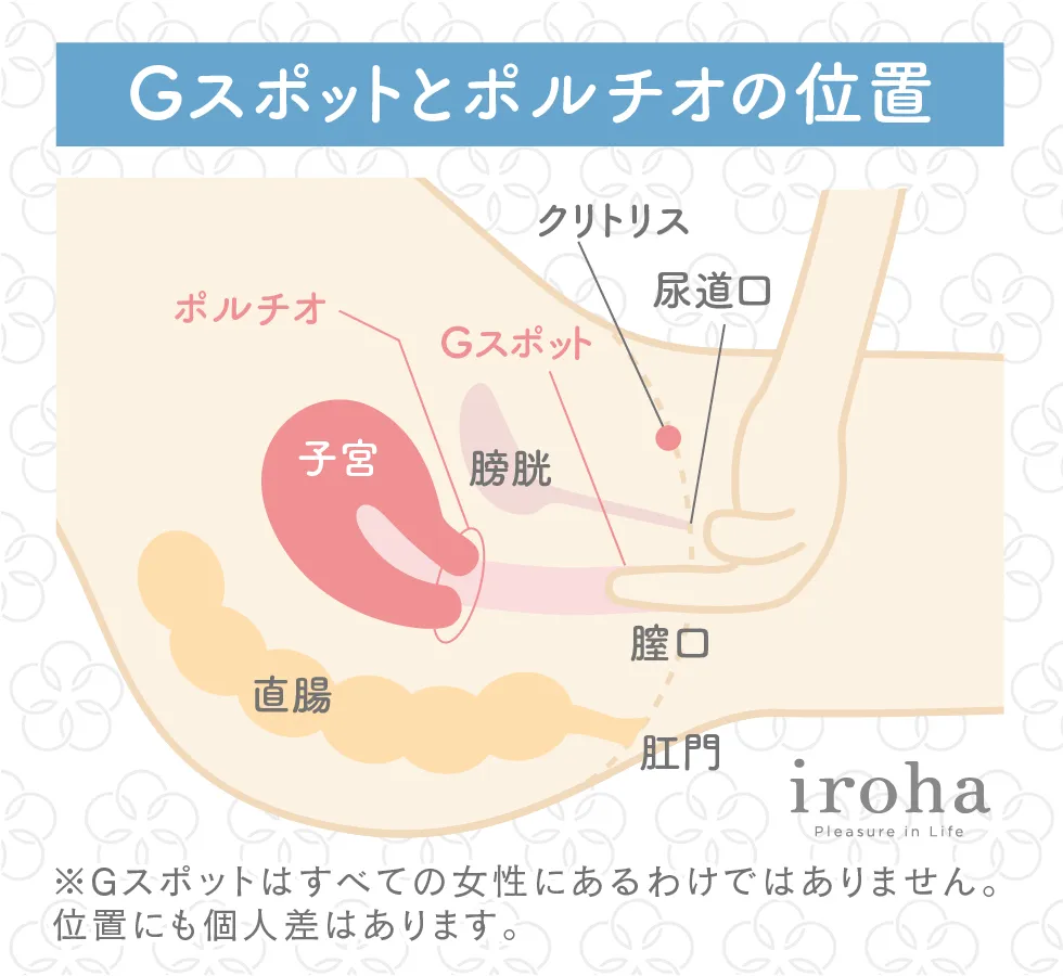 ポルチオ開発コースの説明と補足｜女性用風俗・女性向け風俗なら【西麻布秘密基地】