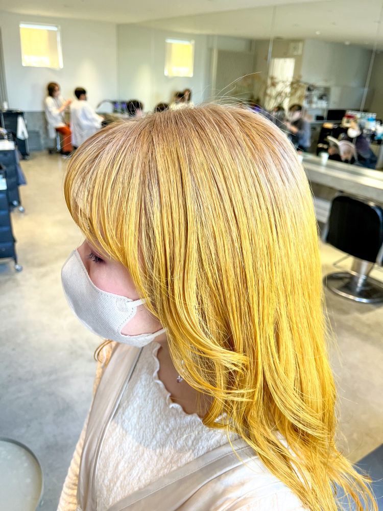 すべてのページが美しく、ワクワクする配色のアイデアが満載！ デザインやイラストにおける色の使い方も学べる配色本 -「悩まない」配色の基本コリス