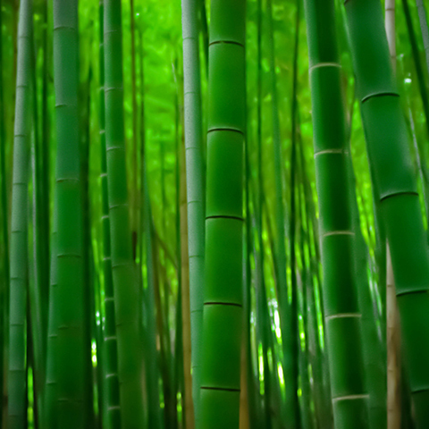 油性コンクリート床・池用 サンデーペイント 合成樹脂 耐摩耗 若竹色 1缶 0.7L-通販モノタロウ