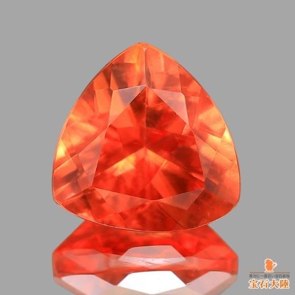 黒とオレンジ サイトとはTikTok