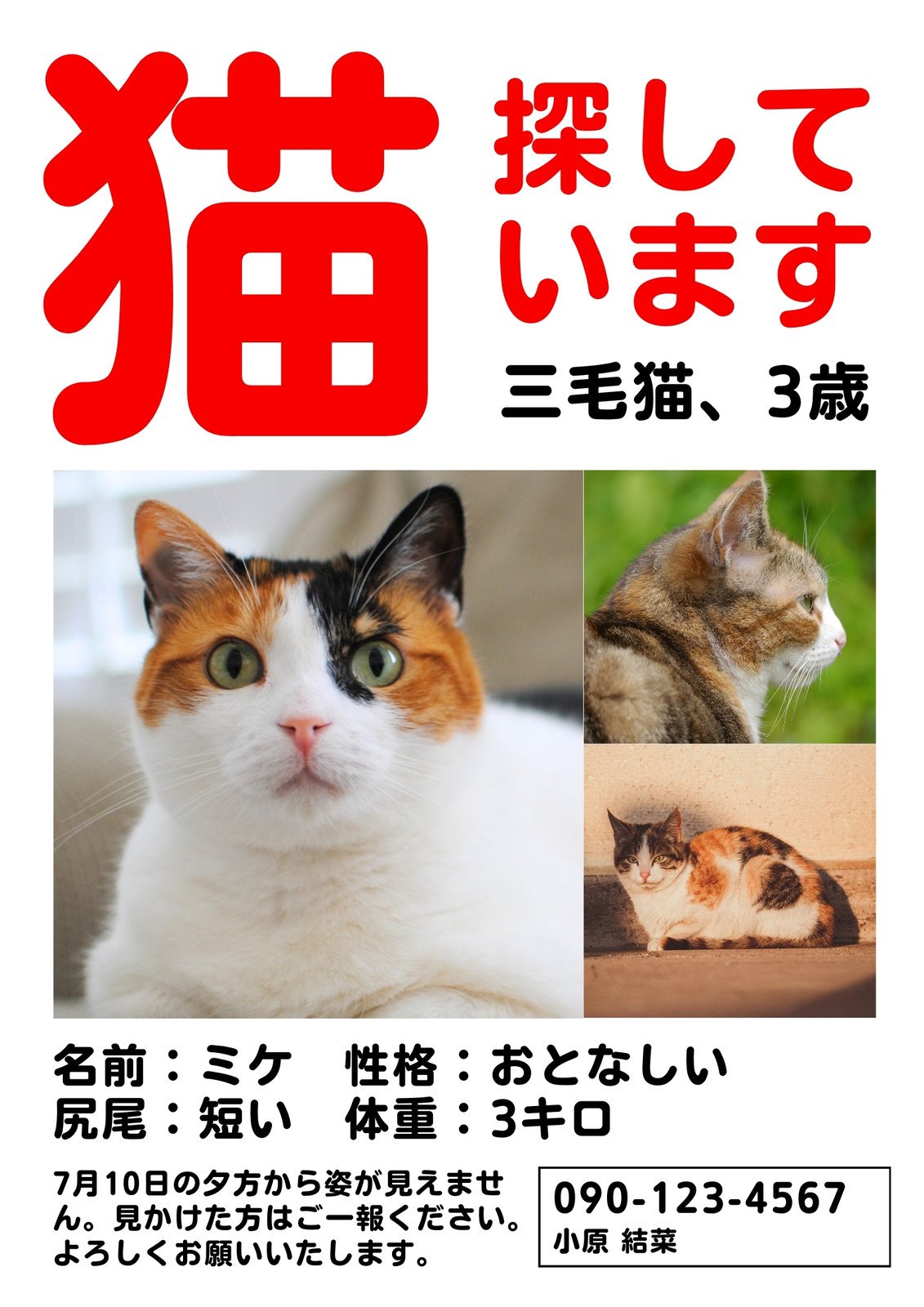 迷子ペットの捜索ポスター 無料ダウンロードペットの救急法と防災ならペットセーバープログラム