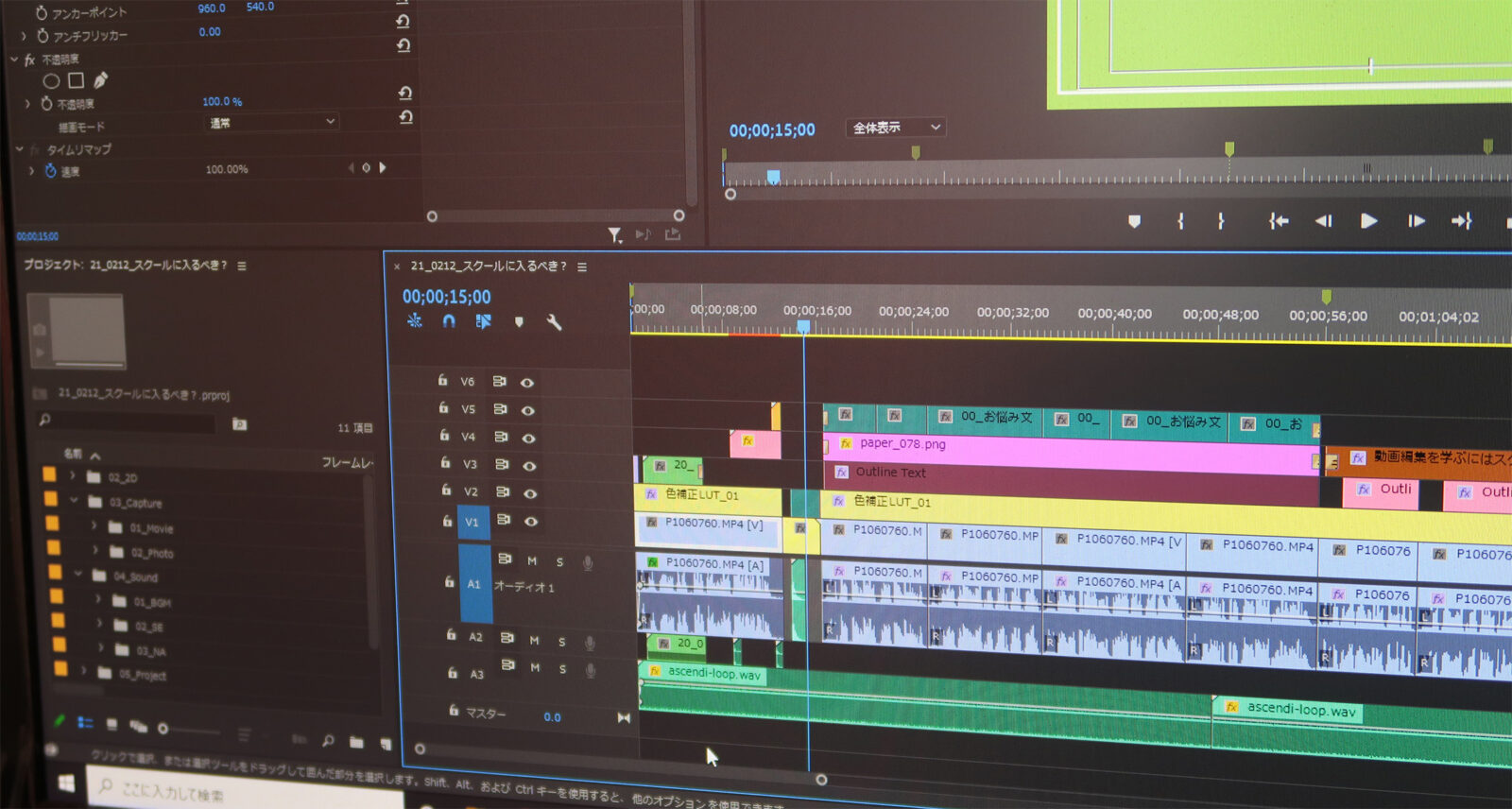 猫渦巻の動画無料の動画素材サイト「動画AC」