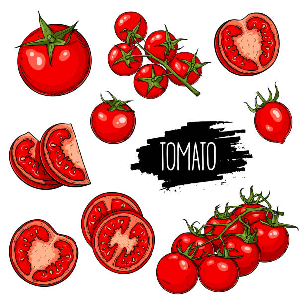 薩摩甘照 ブランディング 食品飲料株式会社T3デザイン パッケージデザイン会社