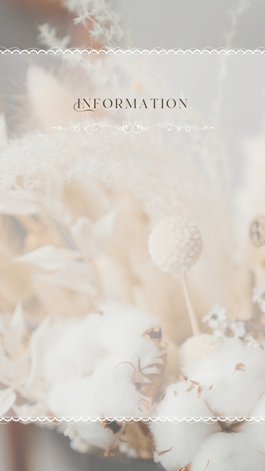 ストーリー インスタグラムの背景をおしゃれにする方法・背景を画像にするやり方を紹介！Canaa公式メディア