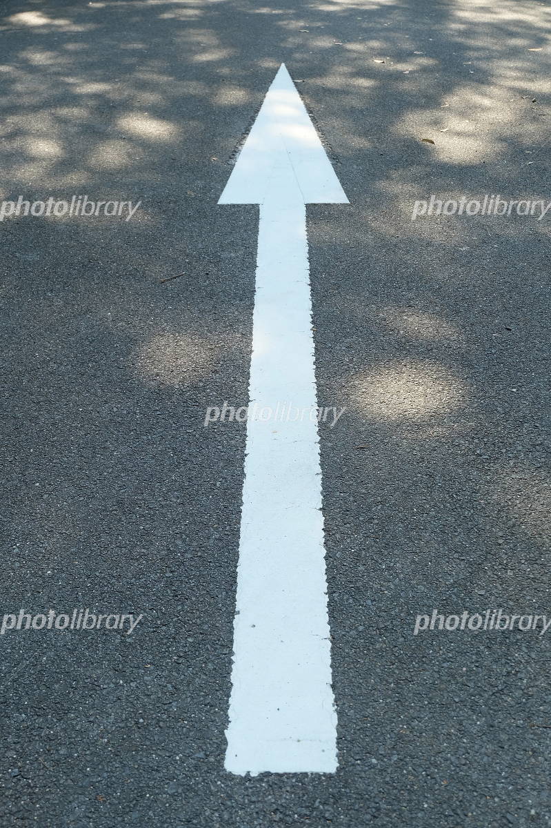 意外な事実！ 「破線」に意味アリ？ 道路上「矢印」の持つ役割とはくるまのニュース