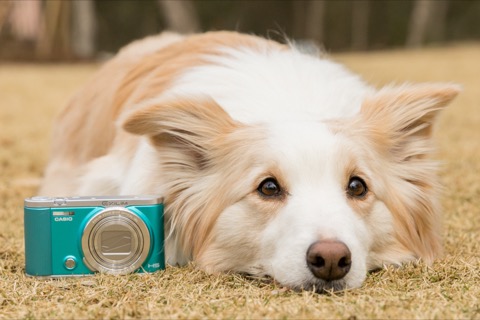 低予算で買えるハイスピードカメラってSONYくらいしかなくない？サツラボ